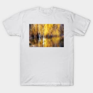 Golden Reflections T-Shirt